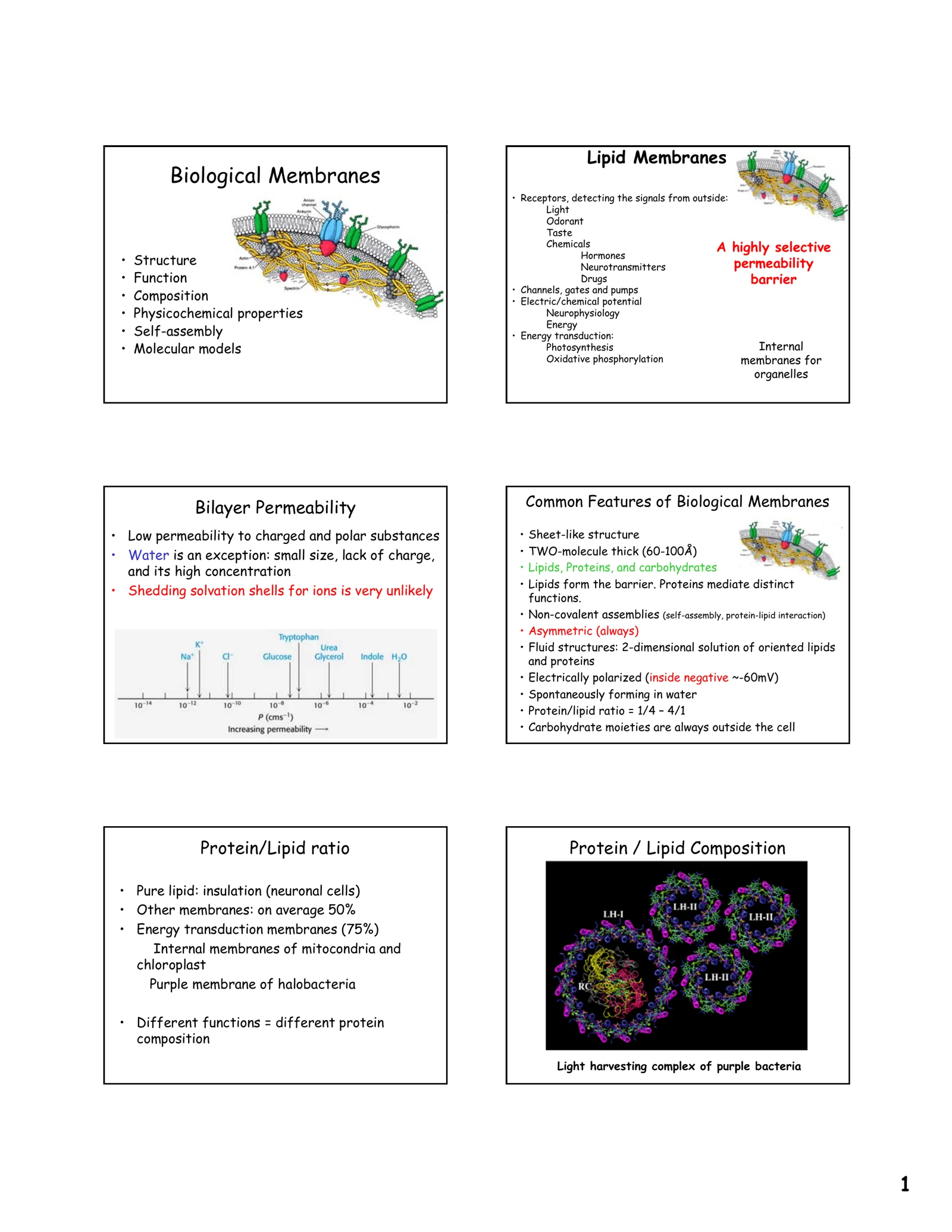Biological Membranes