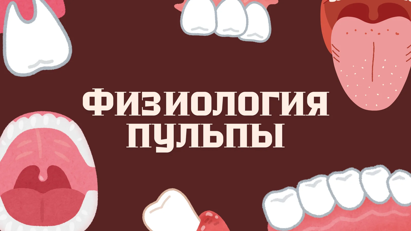Физиология и гистология пульпы