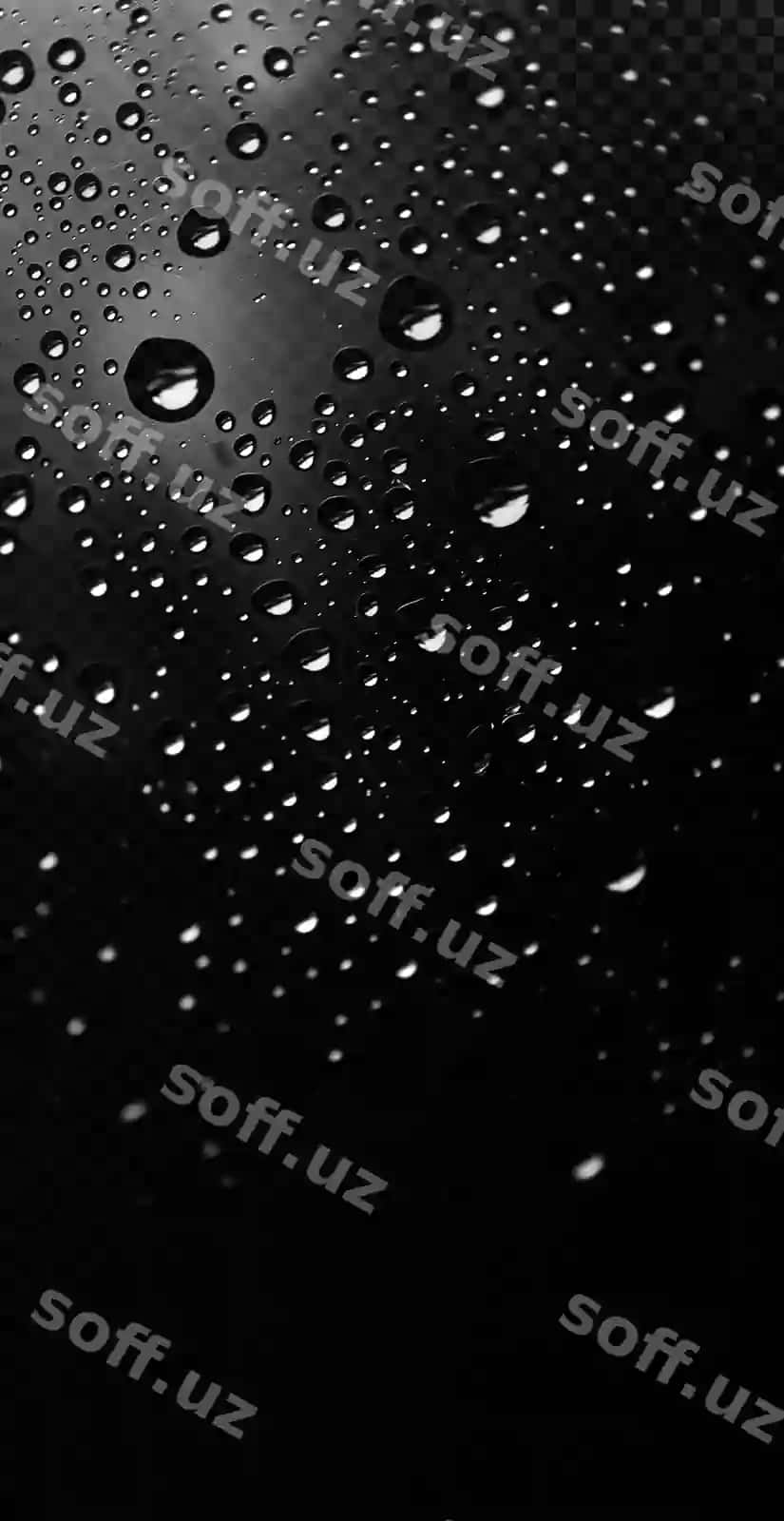 Yomg'ir tomchilari qora fonda | Drops rain black background