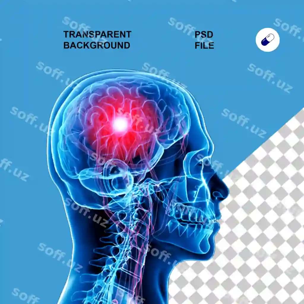 Tanas anatomiyasi xray shaffof isolatsiya fon | Body anatomy xray transparent isolated background