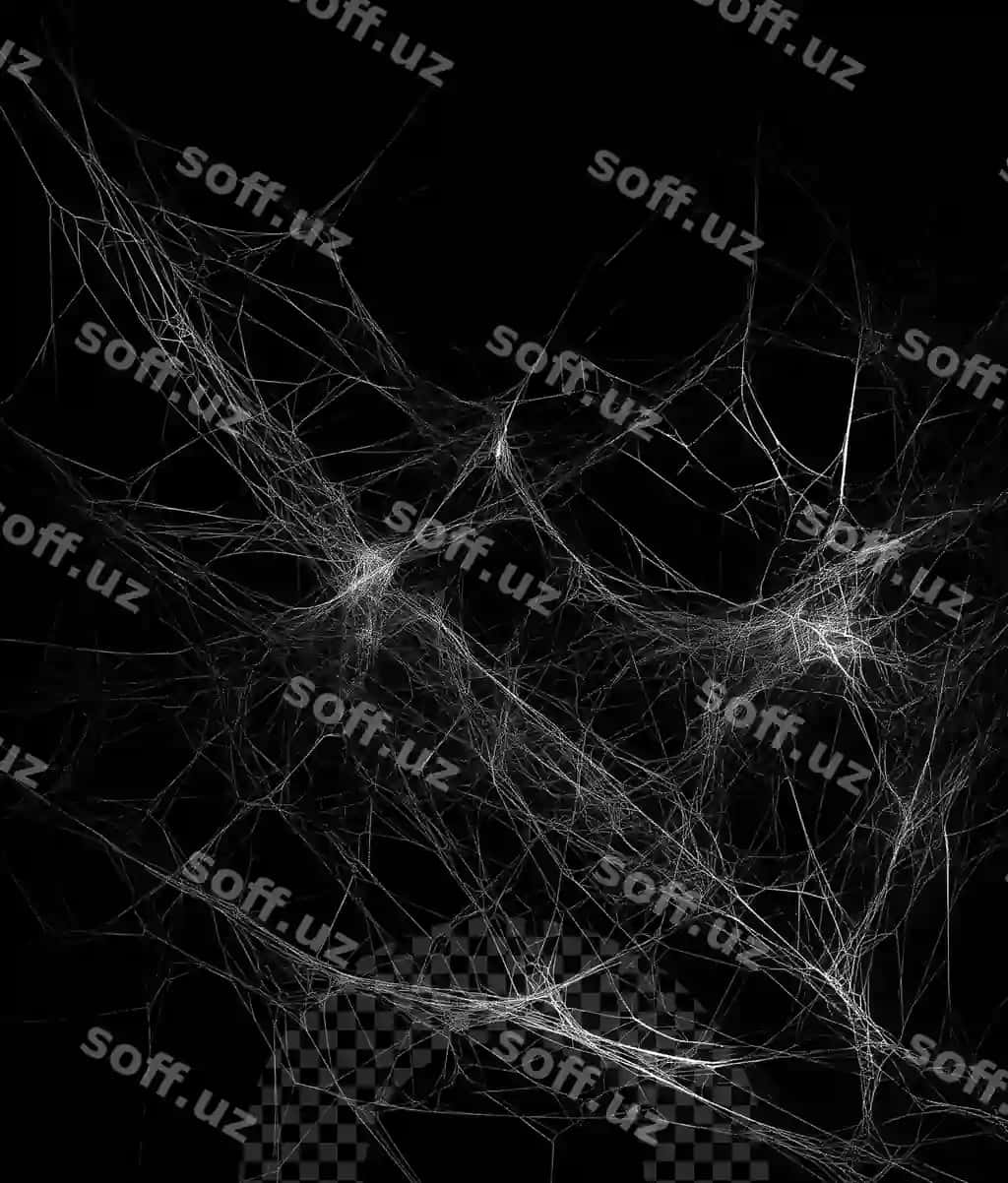 Haqiqiy ayiqcha tarmoqi shaffof fonda | Realistic spiders web transparent background