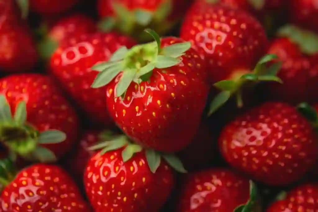 Qizil qulupnay fon | Red strawberries background