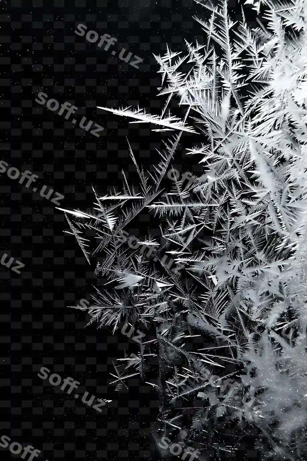 Mroq nurlari soyuq parlavchi sovuq oq qish wonderlagni eslatuvchi png | Frost rays with icy gleam cool white evoking winter wonderla png