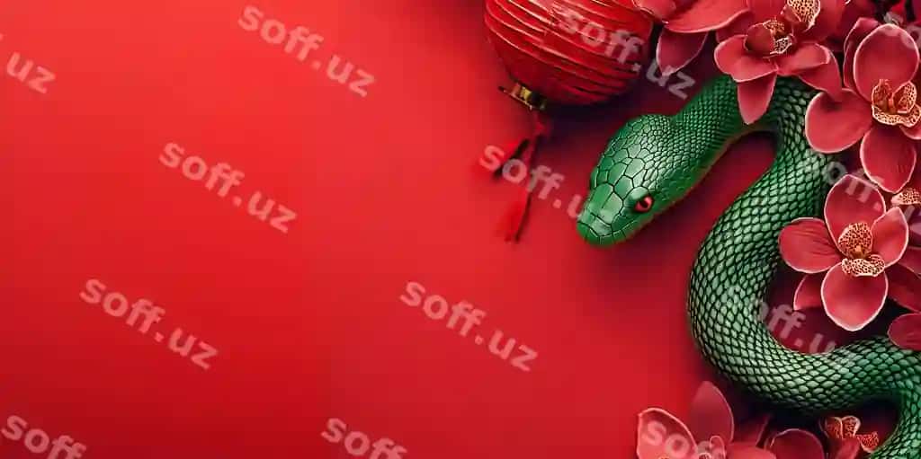Ilon yili Xitoy Yangi Yili | Year snake chinese new year