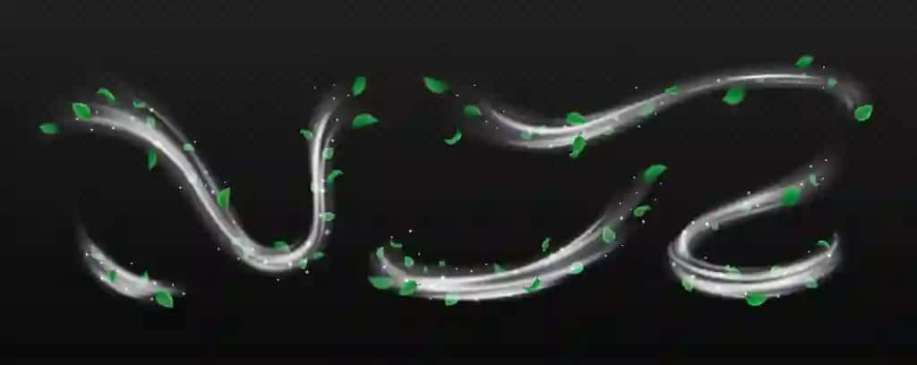Kumush changli mayda barglar aylanma vektorli illyustratsiya to'plami | Silver dust small leaves whirls vector illustration set