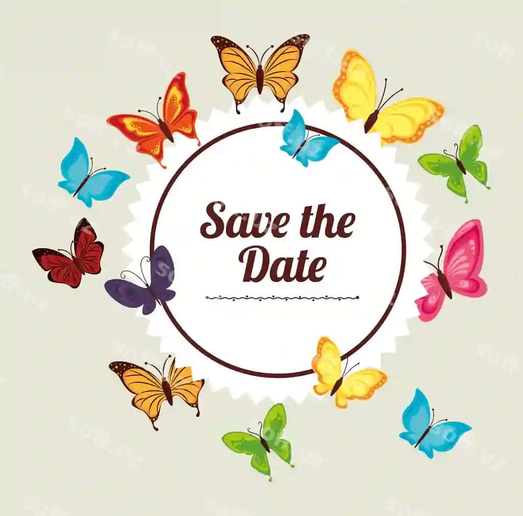 Chayon dizayni | Butterfly design