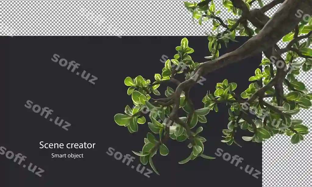Snowrose daraxtlari darchalari ajraltirilgan kichik o'simliklar kesish yo'li | Snowrose trees branches isolated small plants clipping path