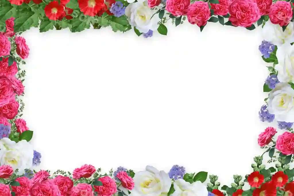 Gul chegara ramka orqa fonda gul orqa fonda gulli ramka orqa fonda | Flower border frame background flower background floral frame background