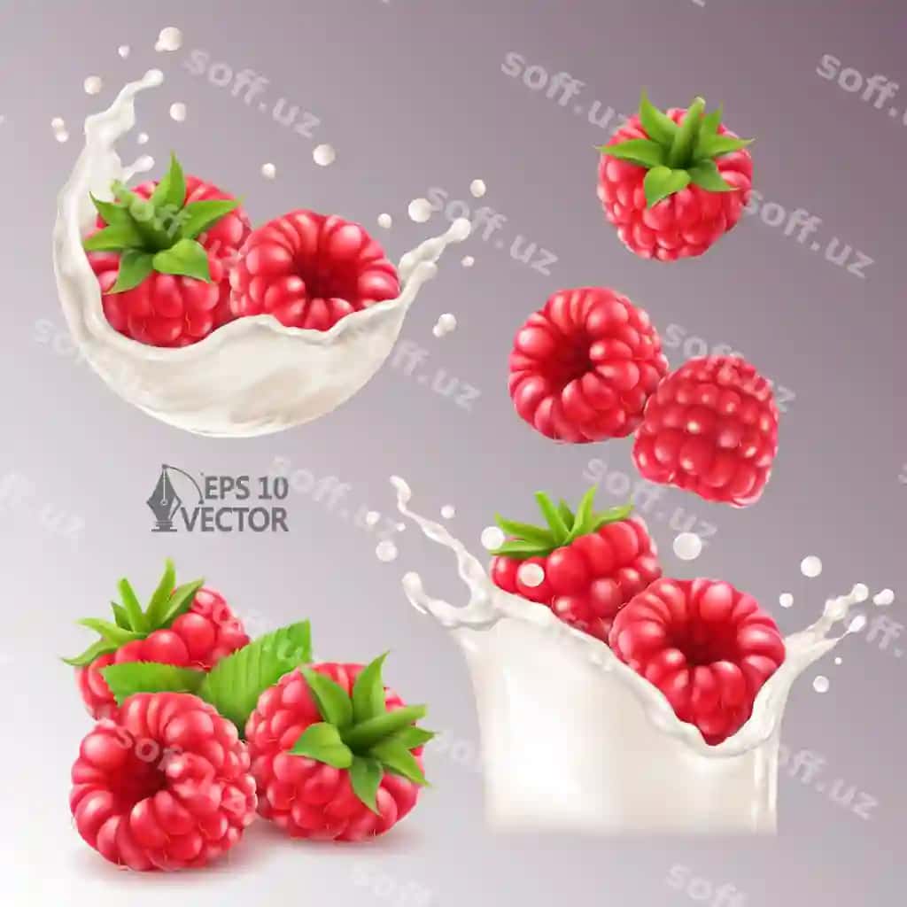 Haqiqiy vektor to'plami yangi morovlar sut splash yo'gurt olg'a morovlar | Realistic vector set fresh raspberries milk splash yogurt ripe berries