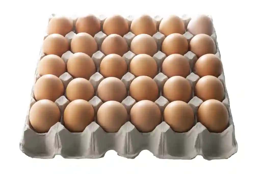 Organik tovuq tuxumlari karton quti oq izolyatsiya qilingan | Organic chicken eggs carton box isolated white