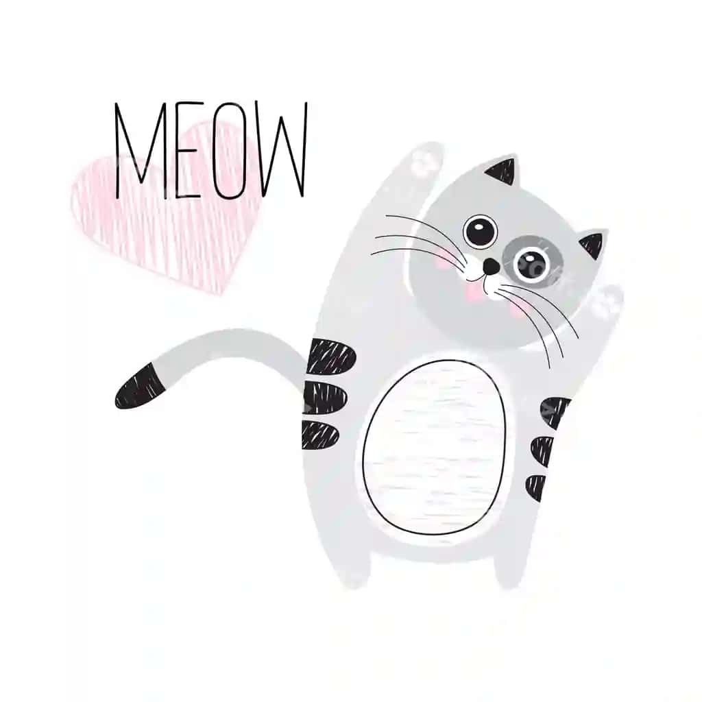 Chiroyli kulrang mushuk oq orqa fonda mew | Cute gray cat white background meow