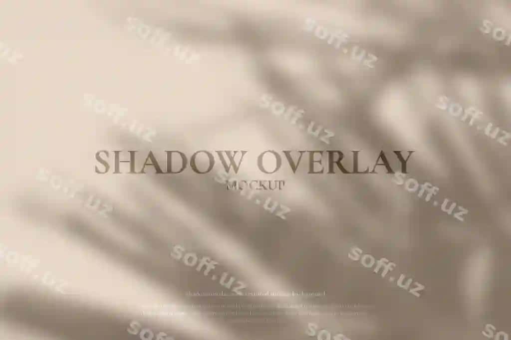 Abstrakt soya yaproq oq devor orqa fonda | Abstract shadow leaves white wall background