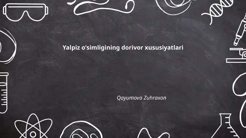 Yalpiz oʻsimligining dorivor xususiyatlari