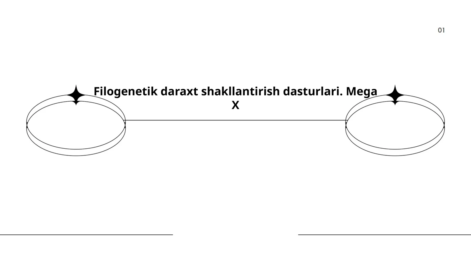 Filogenetik daraxt shakllantirish dasturlari. Mega X