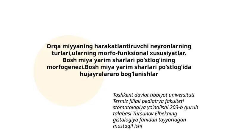 Bosh miya yarim sharlari poʻstlogʻining morfogenezi