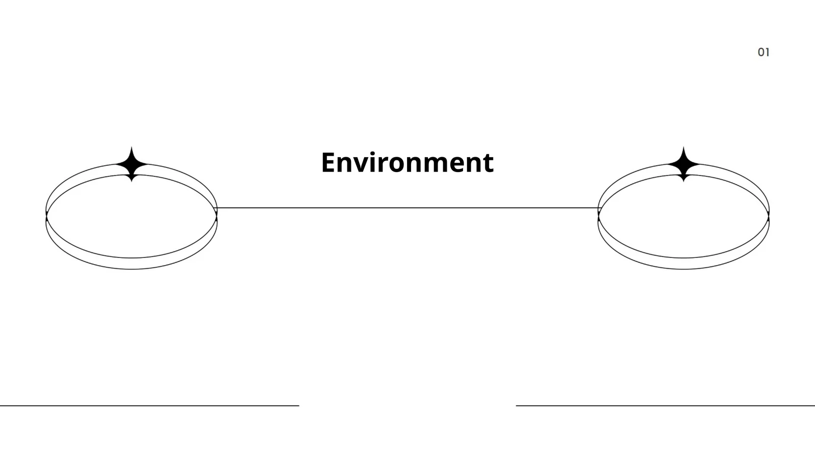 Environment