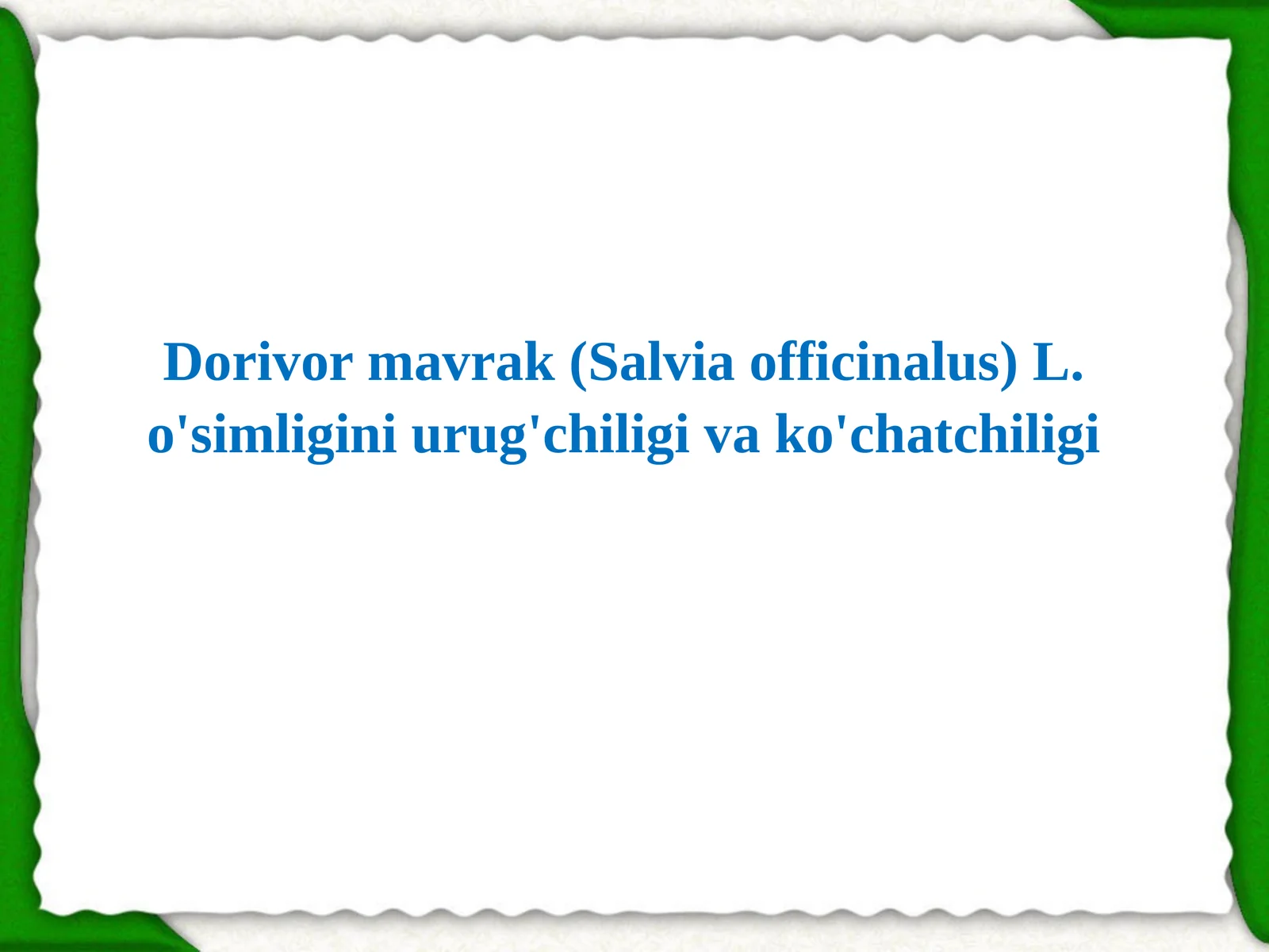 Dorivor mavrak (Salvia officinalus) L. o'simligini urug'chiligi va ko'chatchiligi