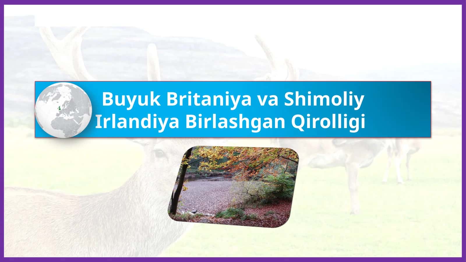 BuyukBritaniyavaShimoliyIrlandiyaBirlashganQirolligi