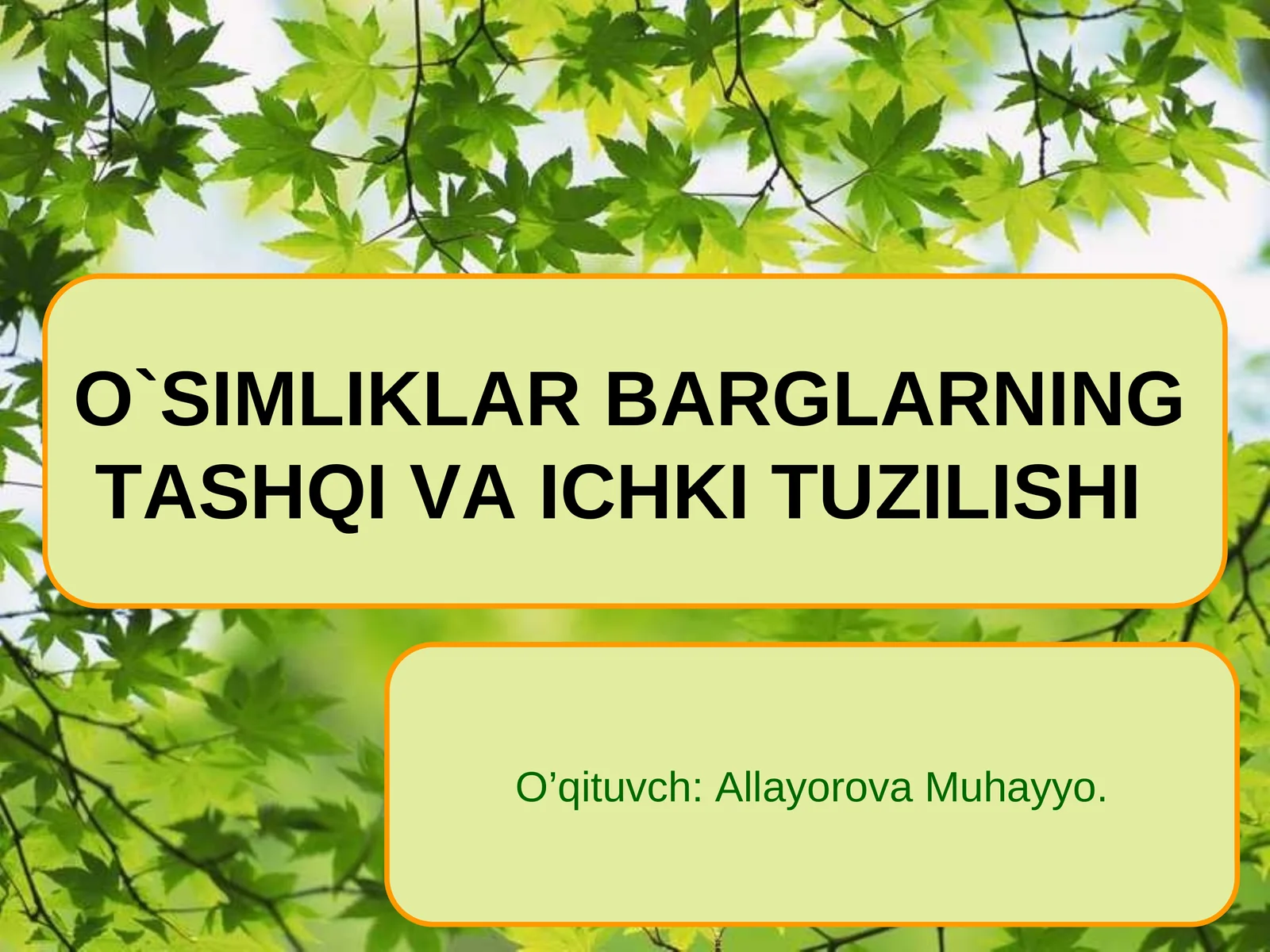 O`SIMLIKLARBARGLARNING TASHQI VA ICHKI TUZILISHI