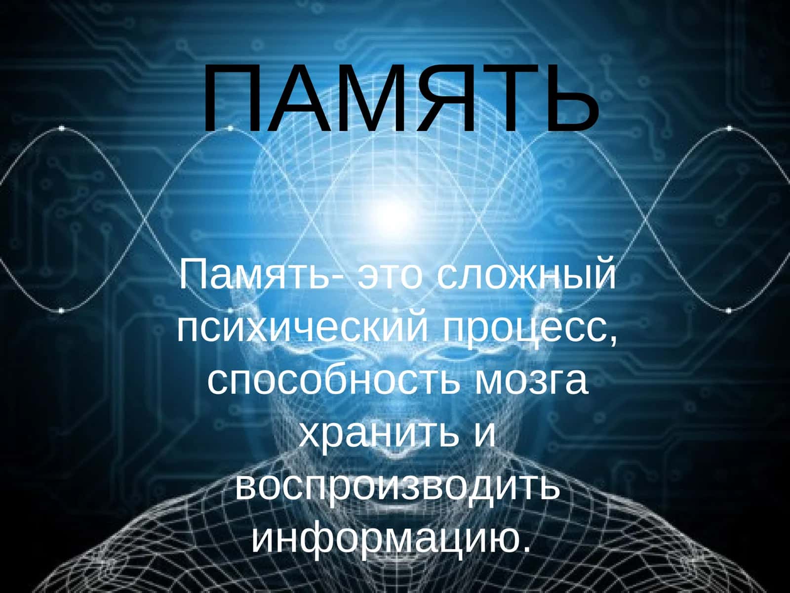 ПАМЯТЬ