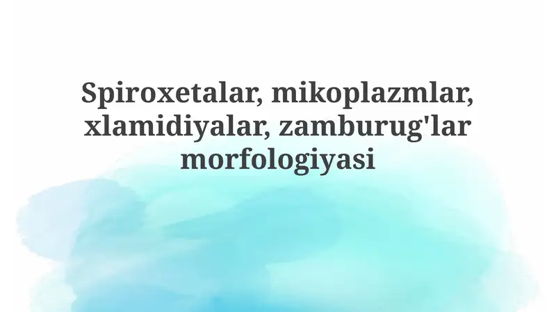 Mikoplazmalar morfologiyasi