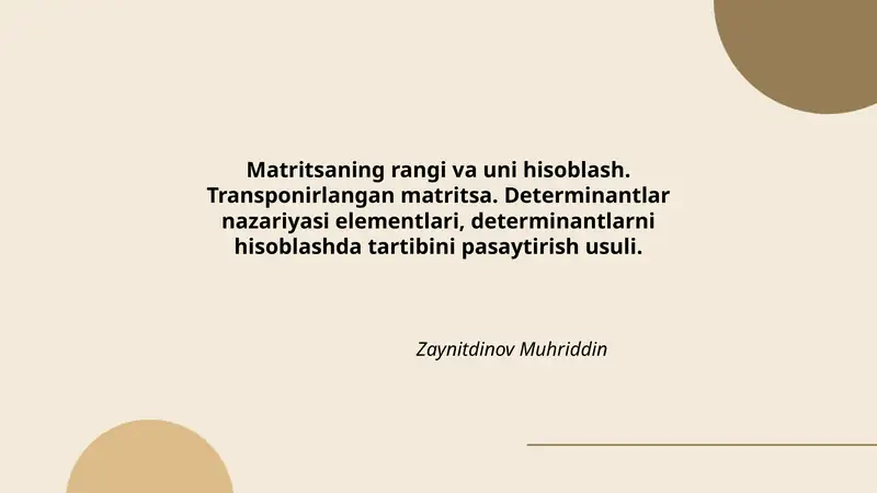 Determinantlar nazariyasi elementlari