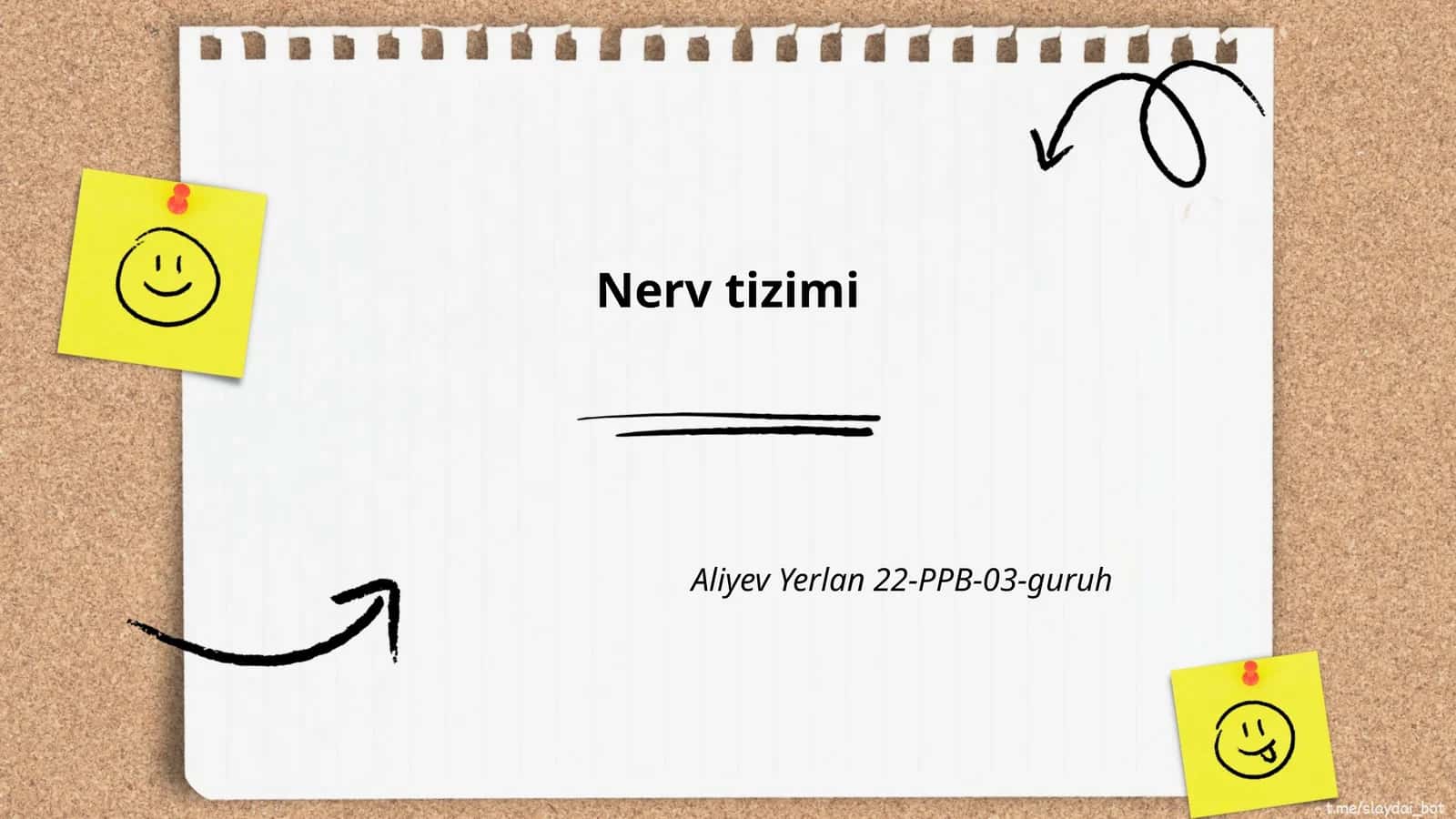Nerv tizimi anatomiyasi