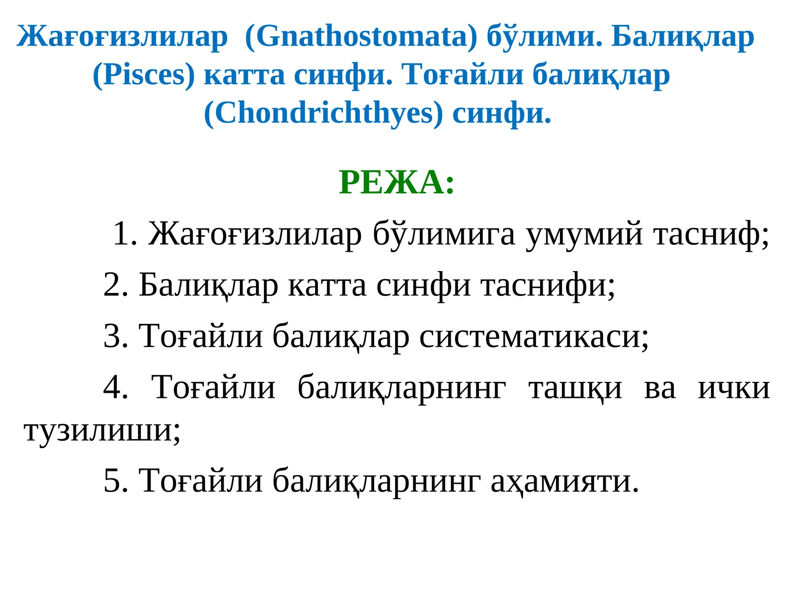 Тоғайли балиқлар (Chondrichthyes) синфи