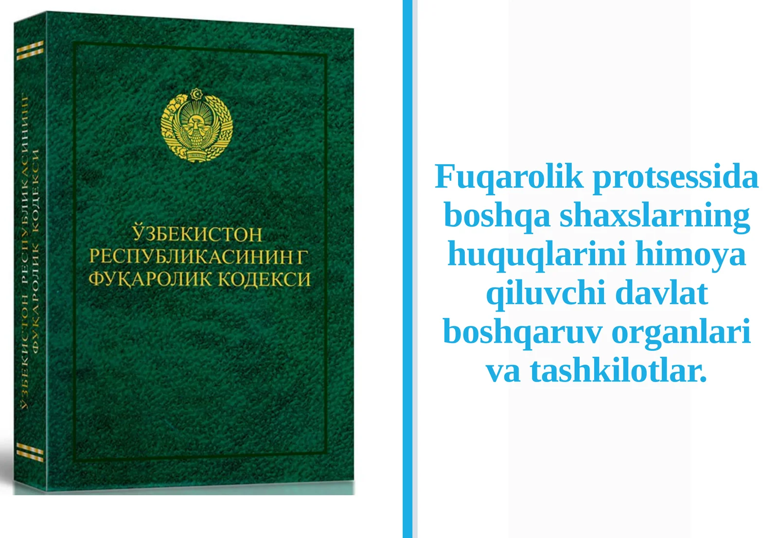 Fuqarolik protsessidagi boshqa shaxslarning huquqlarini himoya qiluvchi davlat boshqaruv organlari va tashkilotlar