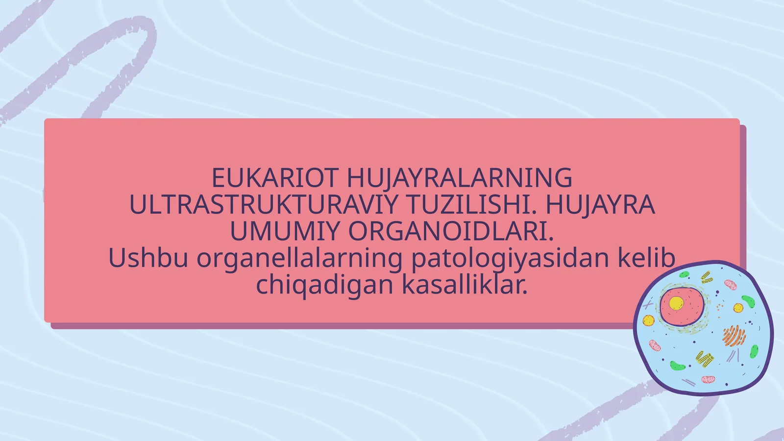 Eukariot hujayralarning ultrastrukturaviy tuzilishi. Hujayra umumiy organoidlari
