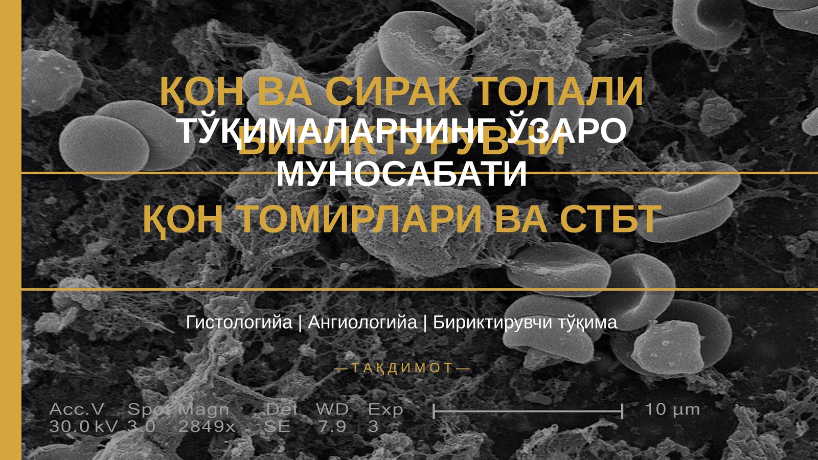 ҚОН ВА СИРАК ТОЛАЛИ БИРИКТУРУВЧИ
