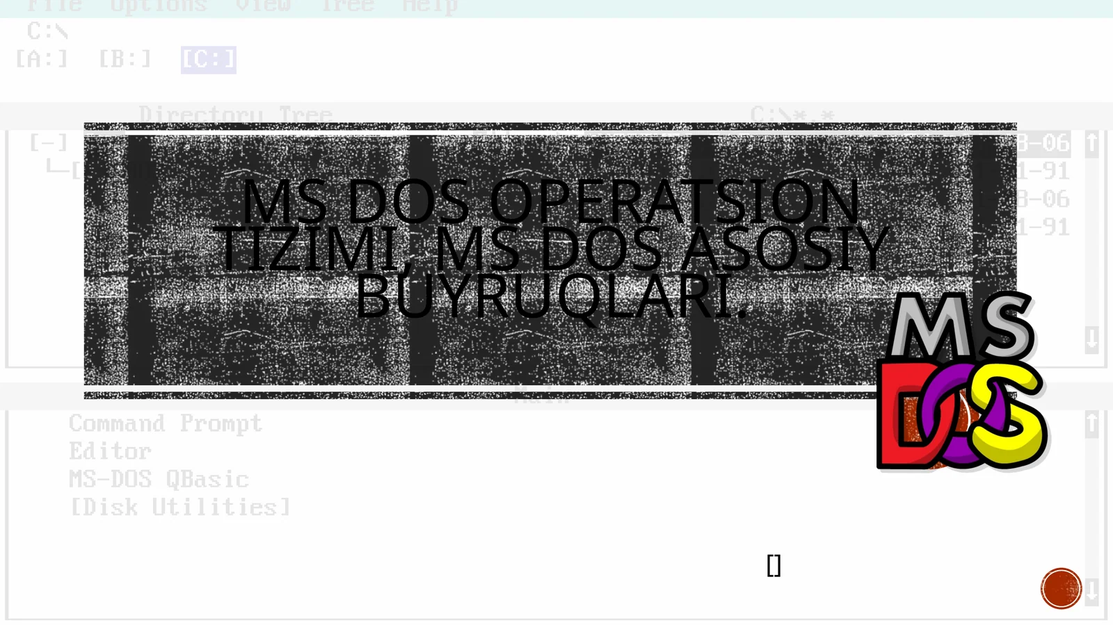 MS DOS operatsion tizimi