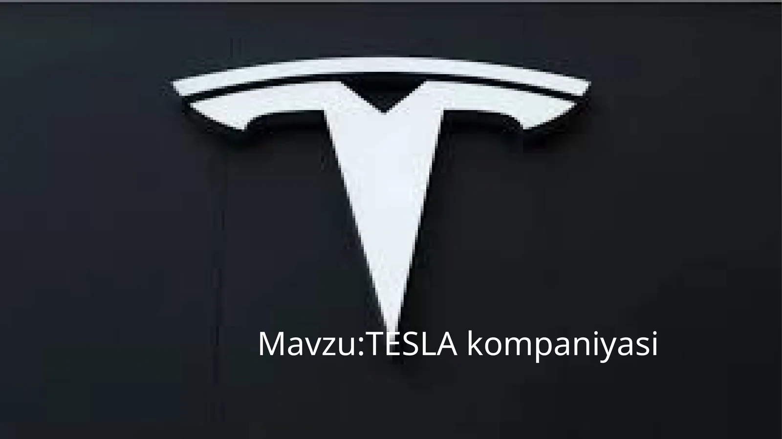 TESLA kompaniyasi
