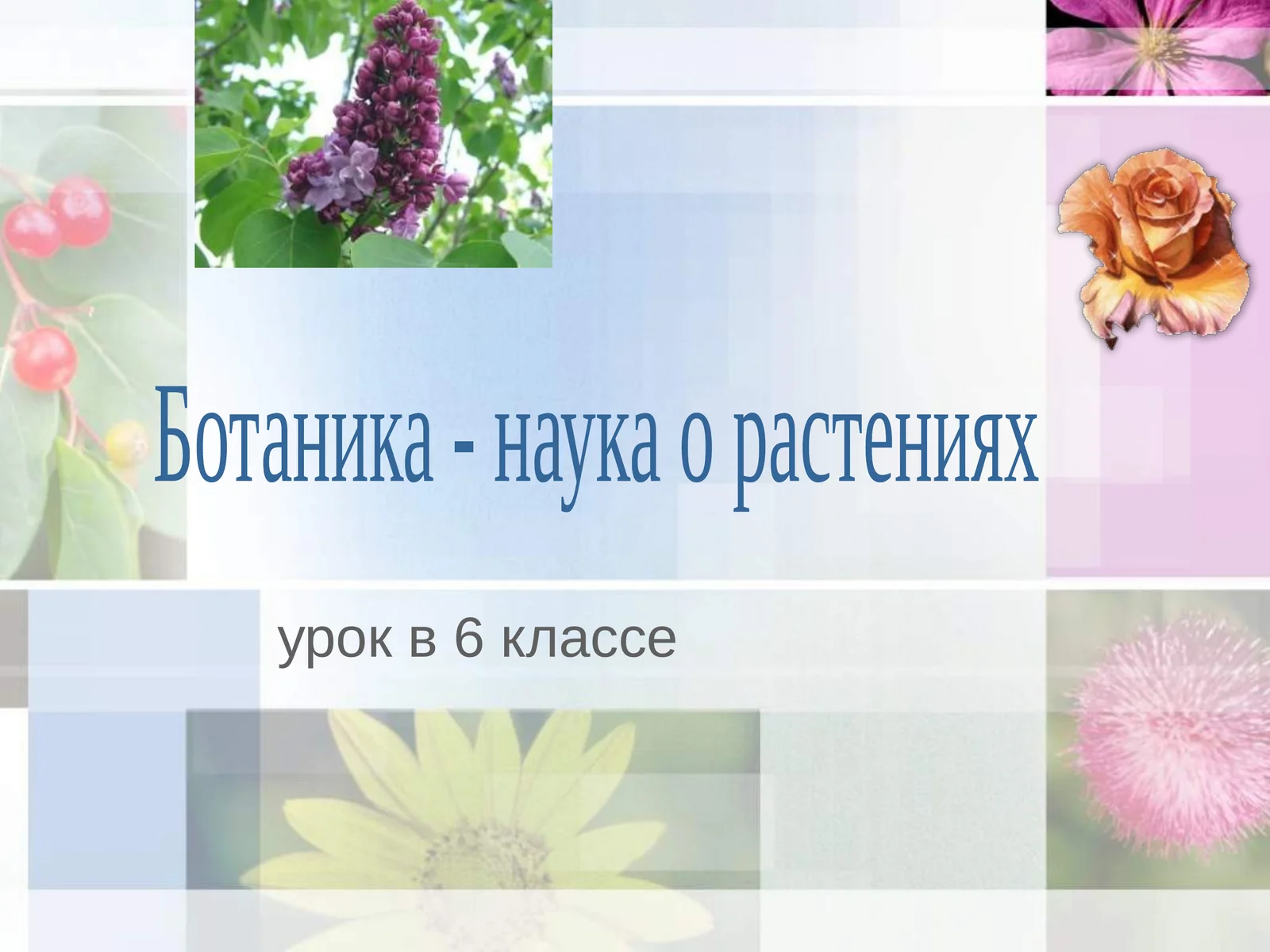6-sinf Botanika dars ishlanma. Ботаника - наука о растениях