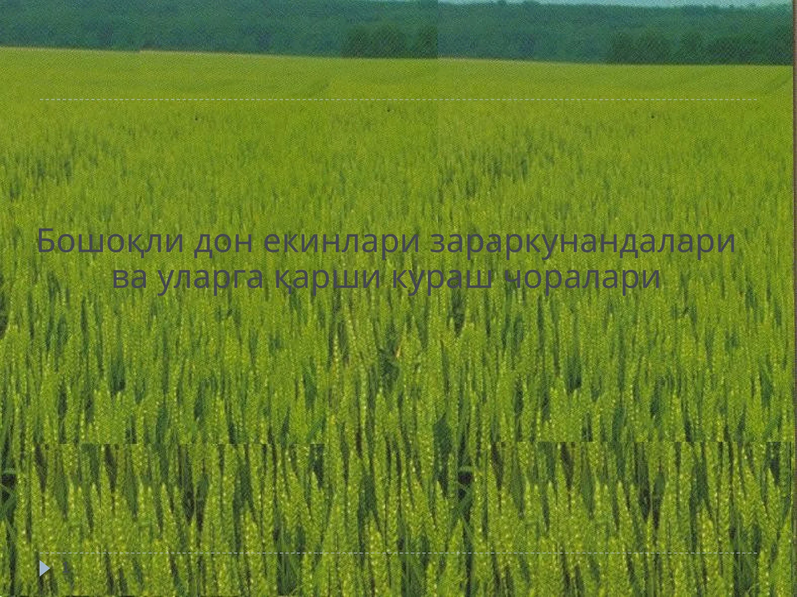 Бошоқли дон екинлари зараркунандалари ва уларга қарши кураш чоралари
