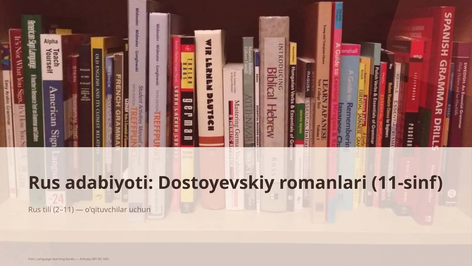 Rus adabiyoti: Dostoyevskiy romanlari (11-sinf)