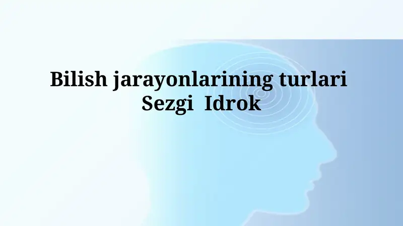 Sezgi va Idrok: Ta'riflar va Turlari