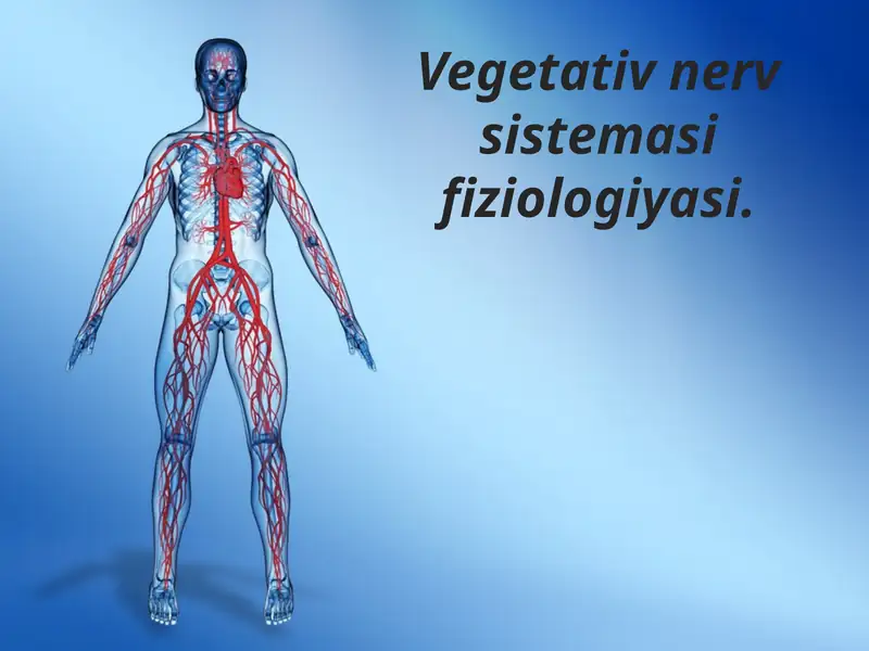 Vegetativ nerv sistemasi fiziologiyasi