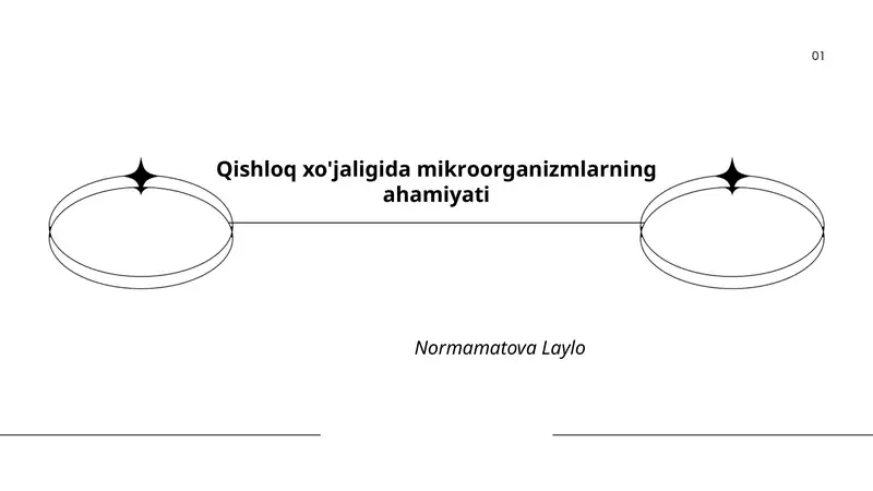 Qishloq xo'jaligida Mikroorganizmlarning Ahamiyati