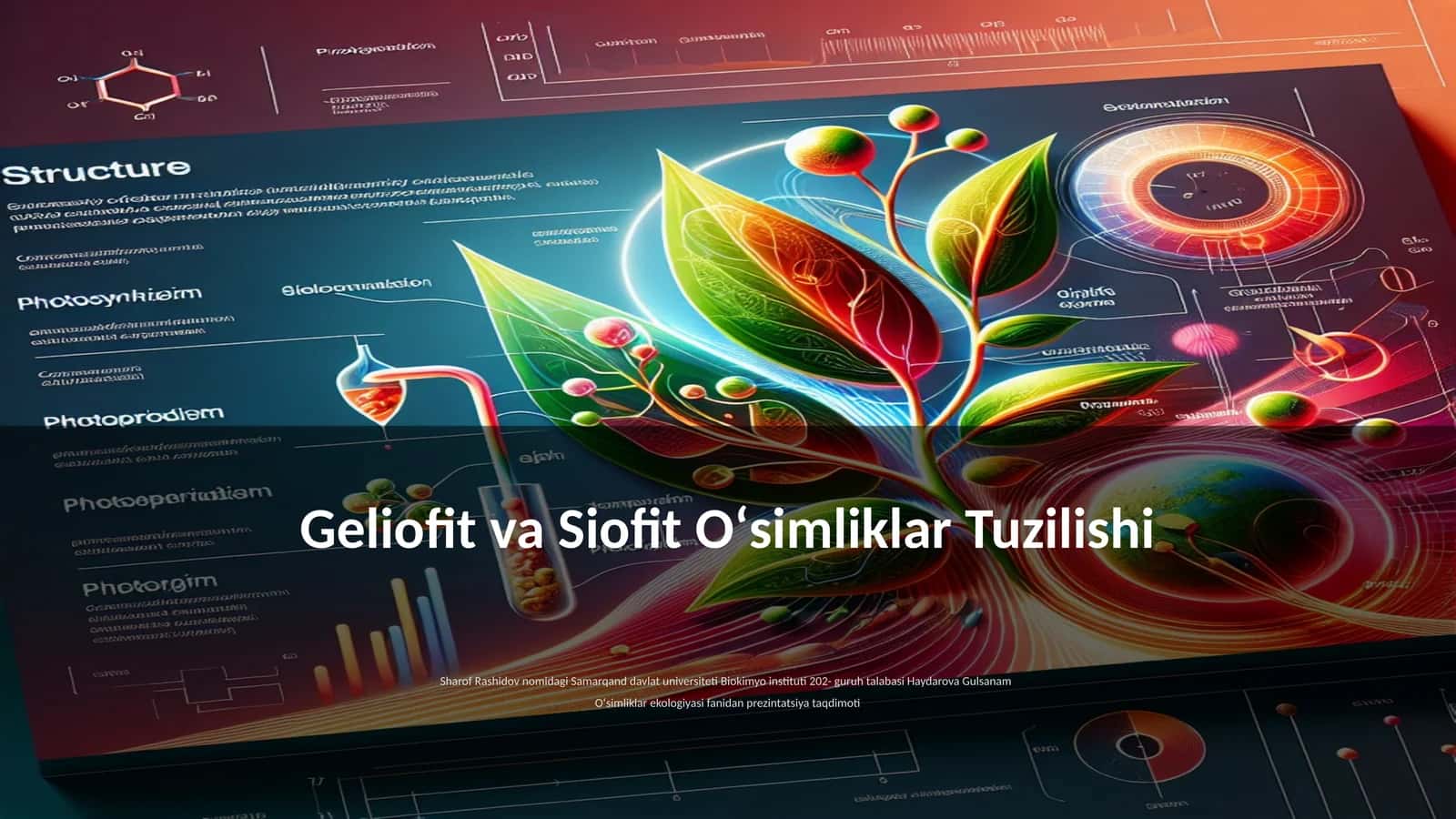 Geliofit va Siofit Oʻsimliklar Tuzilishi