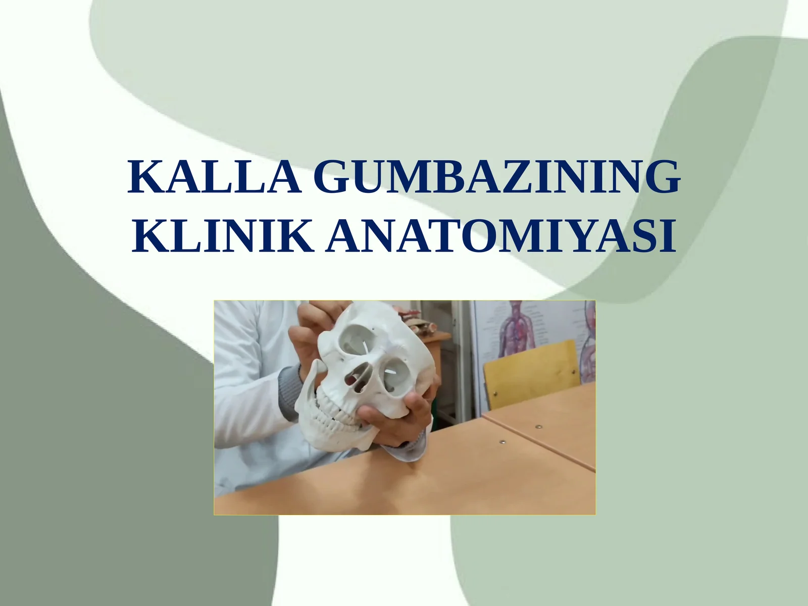 KALLA GUMBAZINING KLINIK ANATOMIYASI