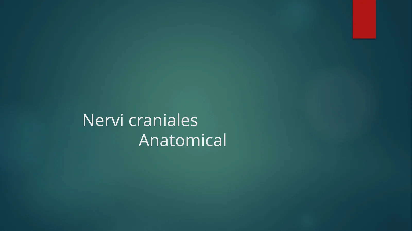 Bosh miya 12 juft nervlari Nervi craniales Anatomical