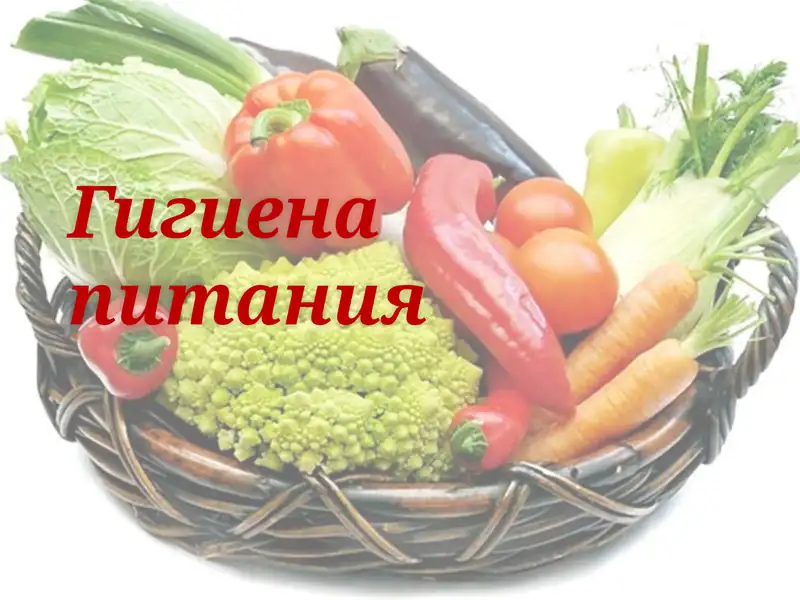 Гигиена питания