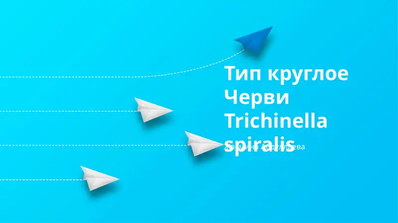Тип круглое Черви