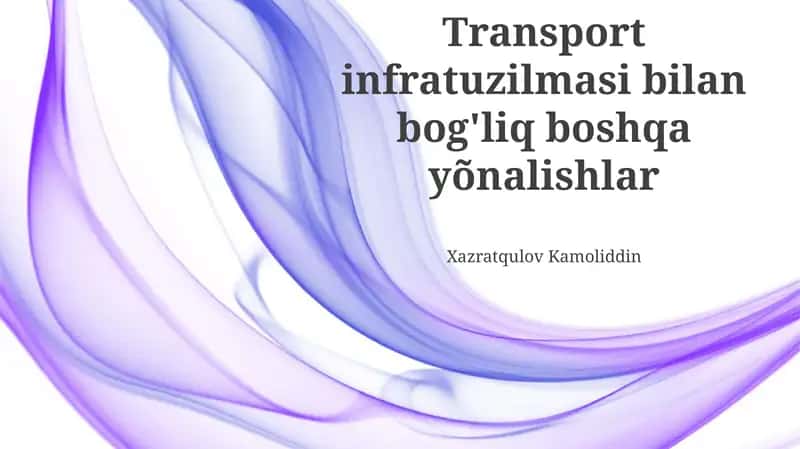 Transport infratuzilmasi bilan bog'liq boshqa yõnalishlar