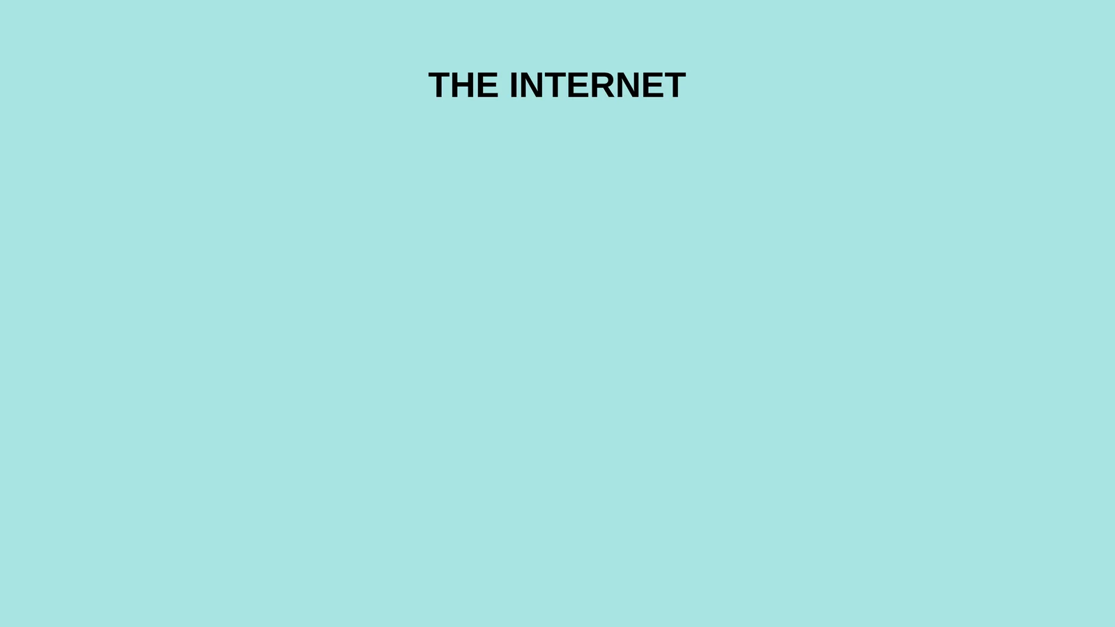 THE INTERNET
