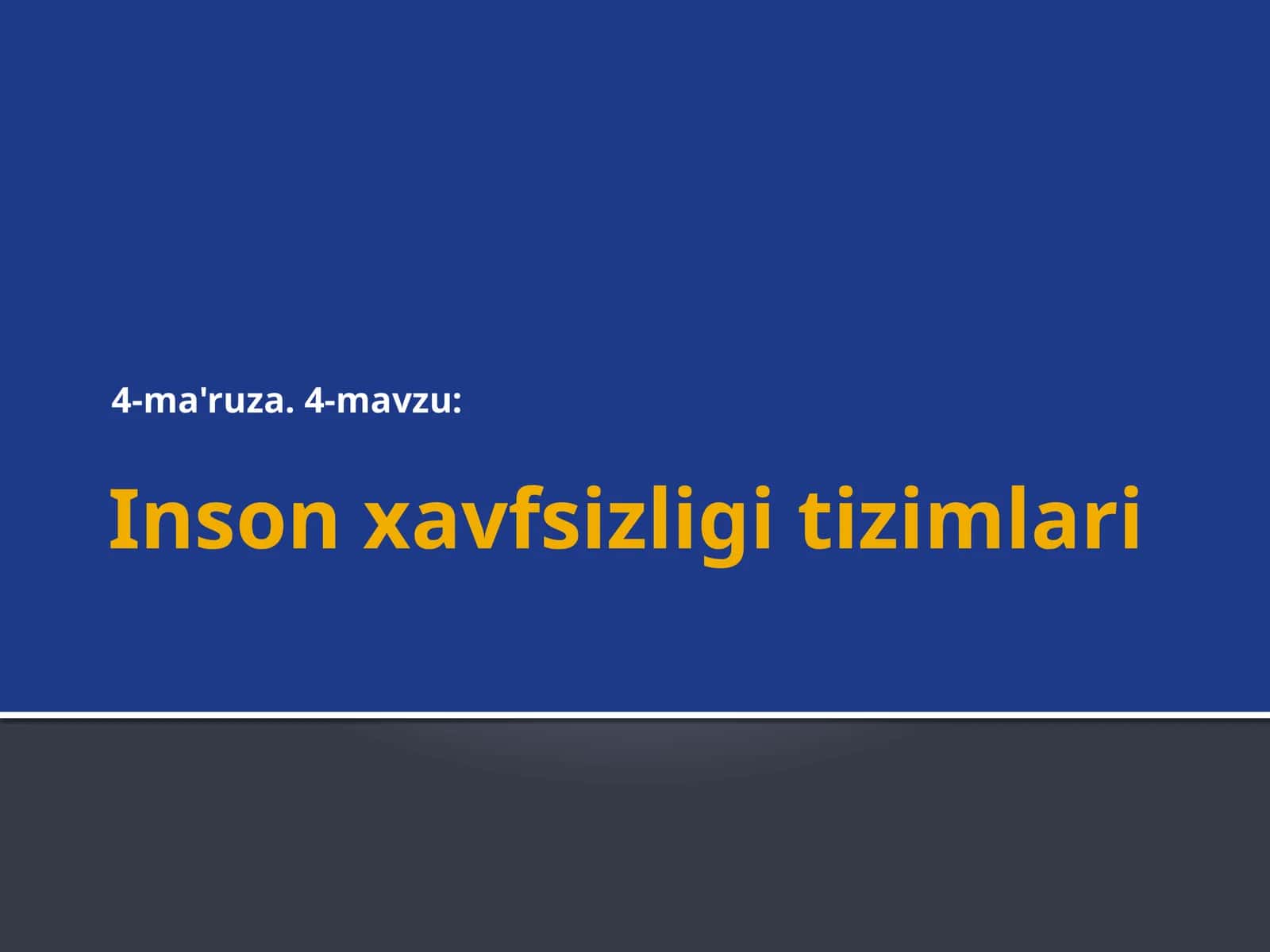 Inson xavfsizligi tizimlari