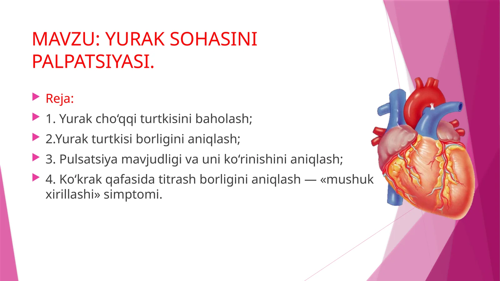 YURAK SOHASINI PALPATSIYASI