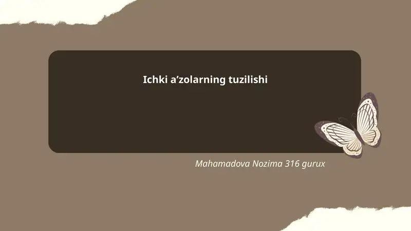 Yurak tuzilishi