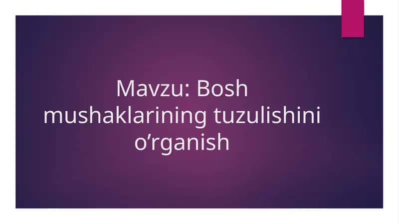Bosh mushaklarining tuzulishini o’rganish